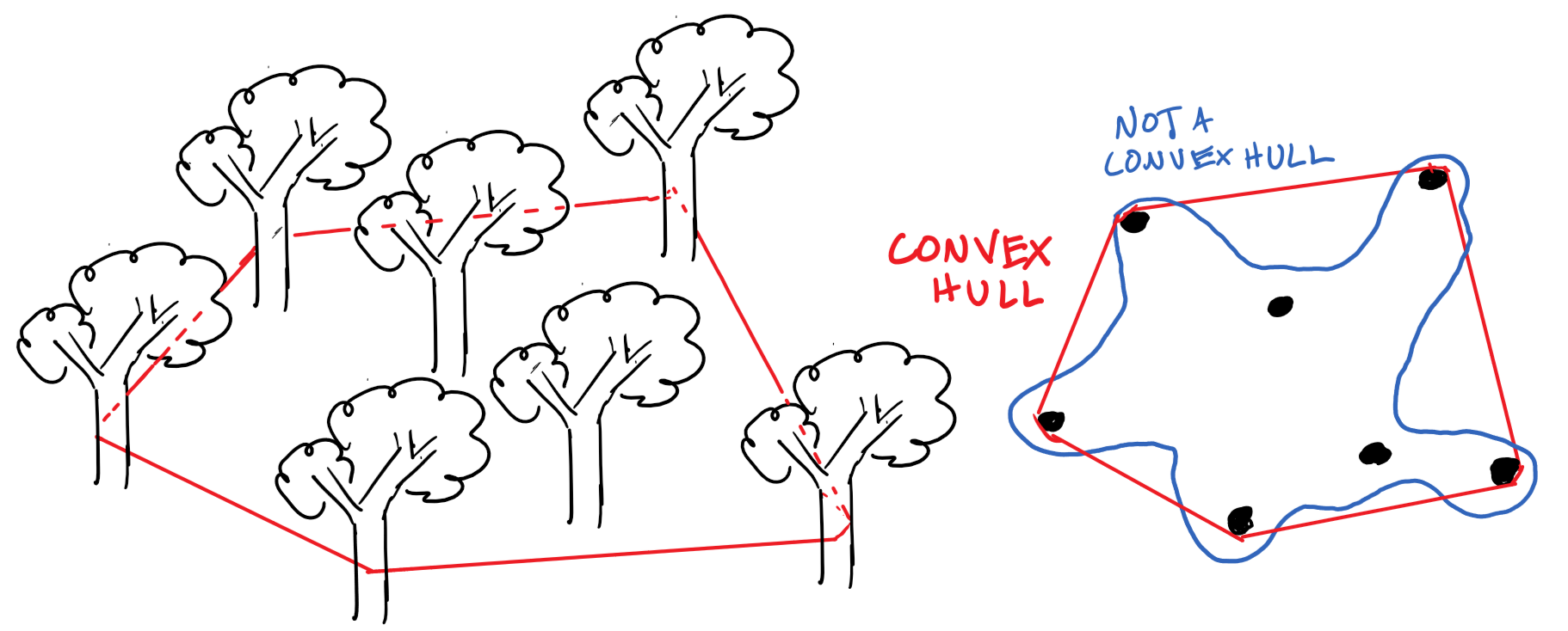 Convex hull as tape around a grove of trees