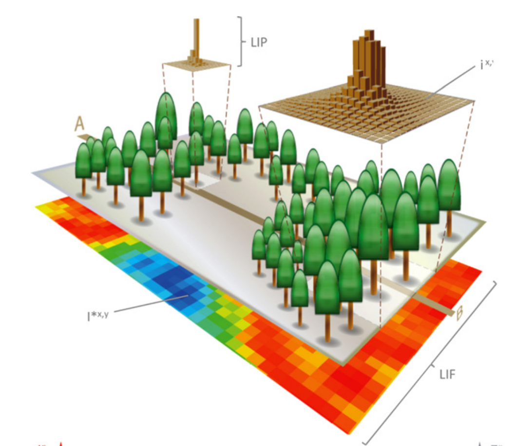 iLand, the forest simulator, uses a system of Light Interference Patterns (LIP) and Light Interference Fields (LIF) to accurately estimate forest growth at massive scales. I ported iLand to Python, accelerated its computations, and restructured it to be a Gymnasium environment.